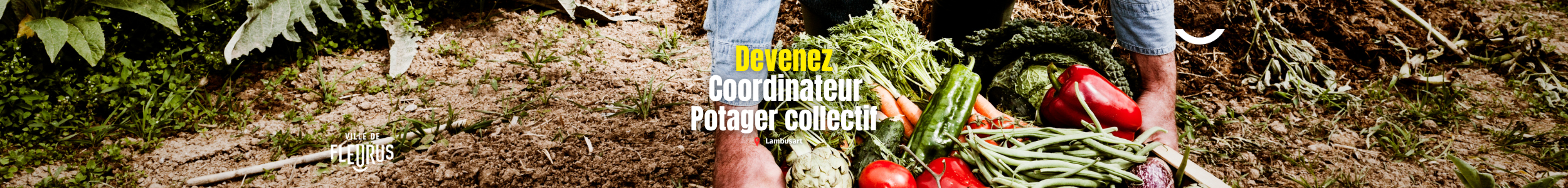 Coordinateur potager collectif