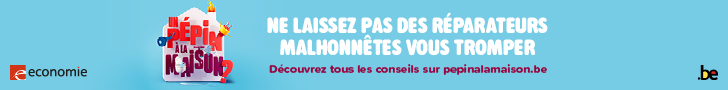 Un pépin à la maison ? Attention aux arnaques !