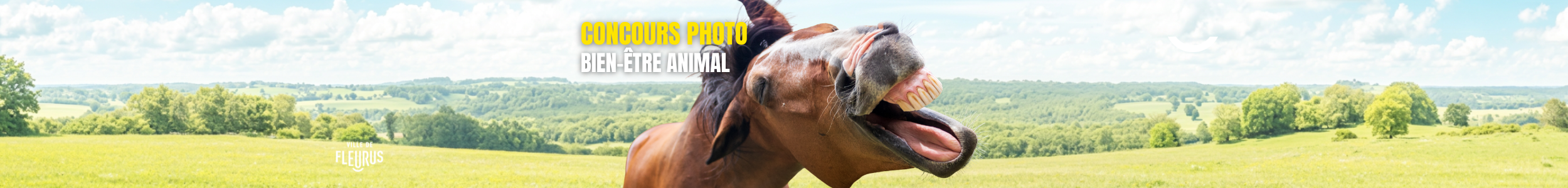 Concours photo – Bien-être Animal