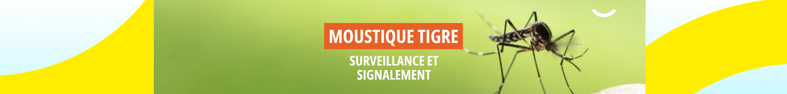 Moustique tigre : restons vigilants en 2026
