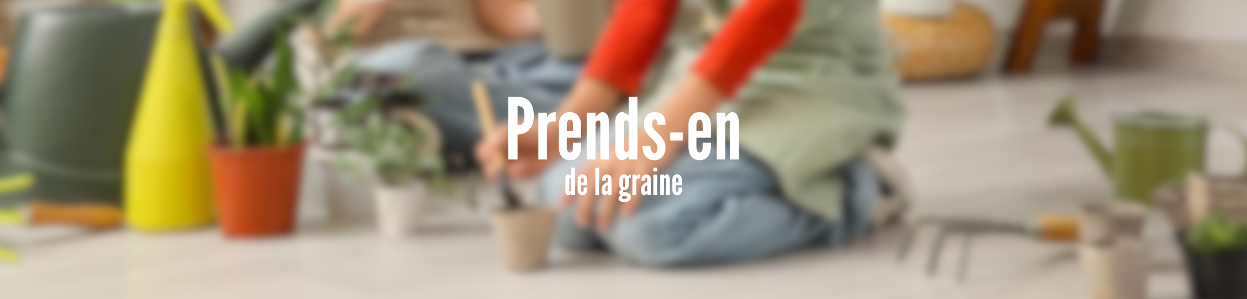 Prends-en de la graine