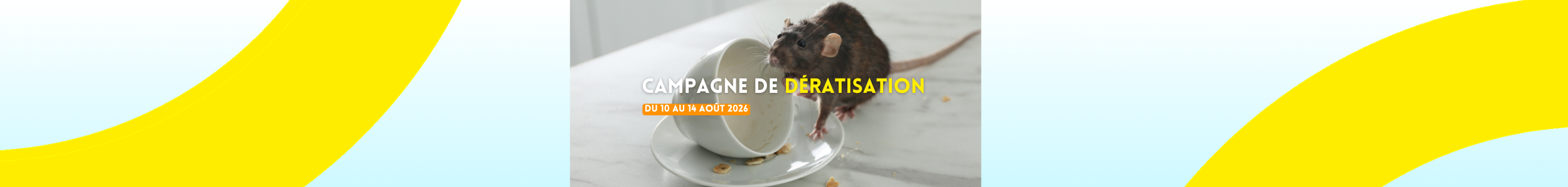 Campagne de dératisation : inscrivez-vous avant le 4 août 2026